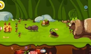 蚁后是谁生出来的