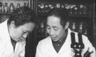 显微镜要多少钱 显微镜要多少钱