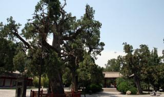 轩辕黄帝陵 轩辕黄帝陵