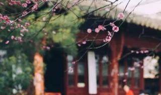 只今唯有西江月 只今唯有西江月