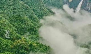 行程卡摘星 行程卡摘星