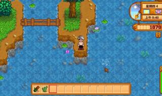 星露谷物语钓鱼 星露谷物语钓鱼