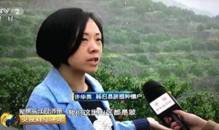 中央电视台二台 中央电视台二台