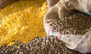 饲料添加剂品种目录 饲料添加剂品种目录