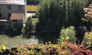 上海国际农展中心 上海国际农展中心