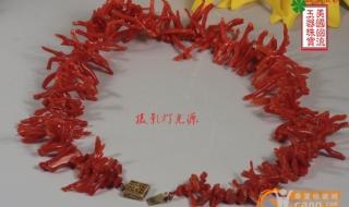 红辣椒美国版红辣椒