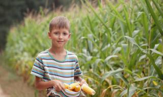 玉米男孩原图恐怖