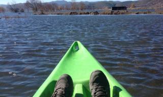 云南猪生八个小孩