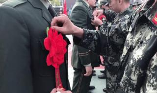 最后一次为你流泪