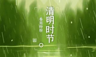 清明时节雨纷纷搞笑