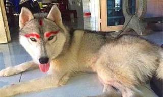 我一直以为 我一直以为