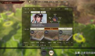 三国志8结婚 三国志8结婚