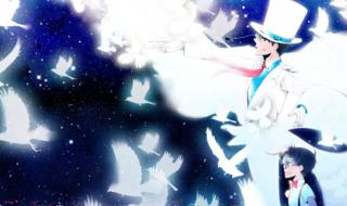 illusion游戏 illusion游戏