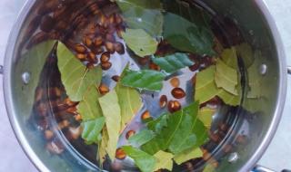 自制枇杷膏 自制枇杷膏