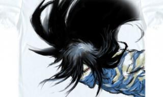 黑崎一护vs乌尔奇奥拉 黑崎一护vs乌尔奇奥拉