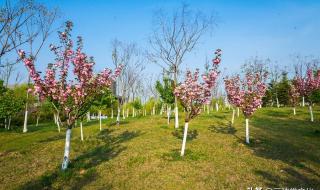 漯河医专新校区