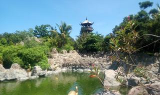 三亚热带森林公园 三亚热带森林公园