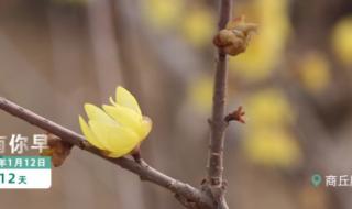 多地迎2023第一场雪 多地迎2023第一场雪