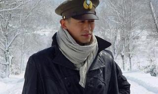 远去的飞鹰好看吗