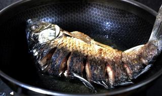 炖鱼块的做法大全