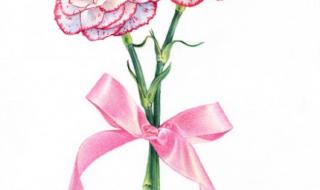 母亲节图片简单好画 母亲节图片简单好画