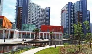 深圳市坪山新区 深圳市坪山新区