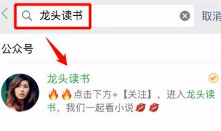 上门女婿叶辰完整版