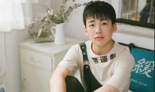 钟汉良综艺节目