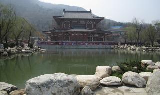 莲花闹海棠普法栏目剧 莲花闹海棠普法栏目剧