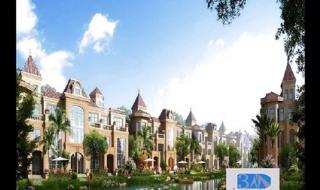 深圳市坪山新区 深圳市坪山新区