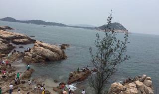 厦门到东山岛 厦门到东山岛