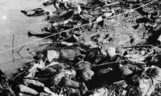 南京不给日本车加油 南京不给日本车加油