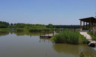 北京汉石桥湿地公园 北京汉石桥湿地公园