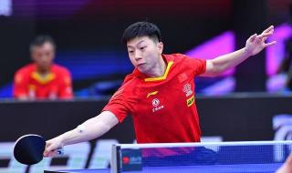 竞技体育包括哪些 竞技体育包括哪些