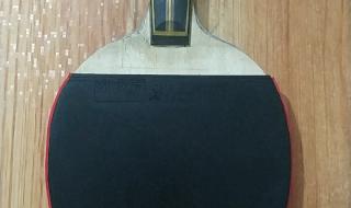 十大乒乓球拍排名