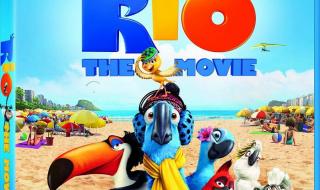 里约奥运会女排观后感