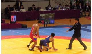 2013辽宁全运会开幕式 2013辽宁全运会开幕式